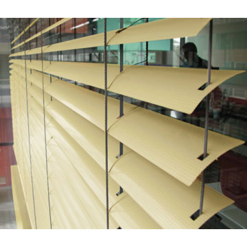 Electric Exterior Aluminum Venetian Blind